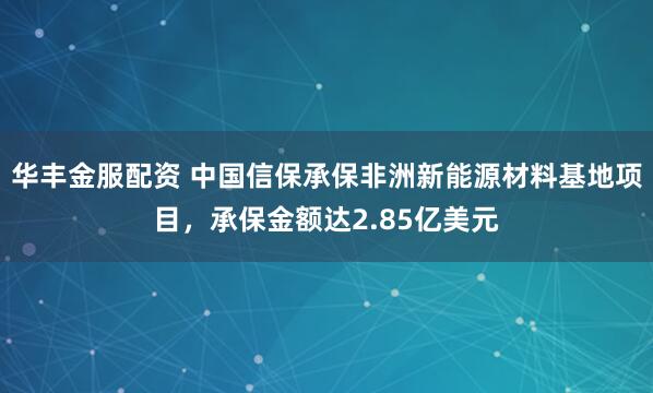 华丰金服配资 中国信保承保非洲新能源材料基地项目，承保金额达2.85亿美元