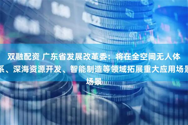 双融配资 广东省发展改革委：将在全空间无人体系、深海资源开发、智能制造等领域拓展重大应用场景